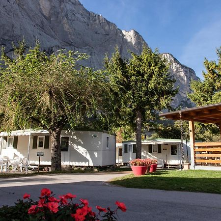 Camping Daino Hotel Pietramurata Eksteriør billede